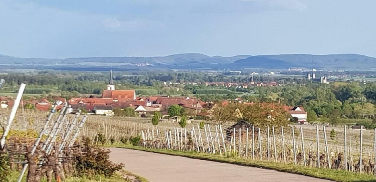 Ferienwohnung An Der Dorfmauer Sommerach Εξωτερικό φωτογραφία